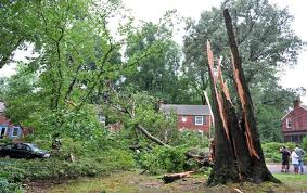 Irene's aftermath...Some dodged, some ate the bullet